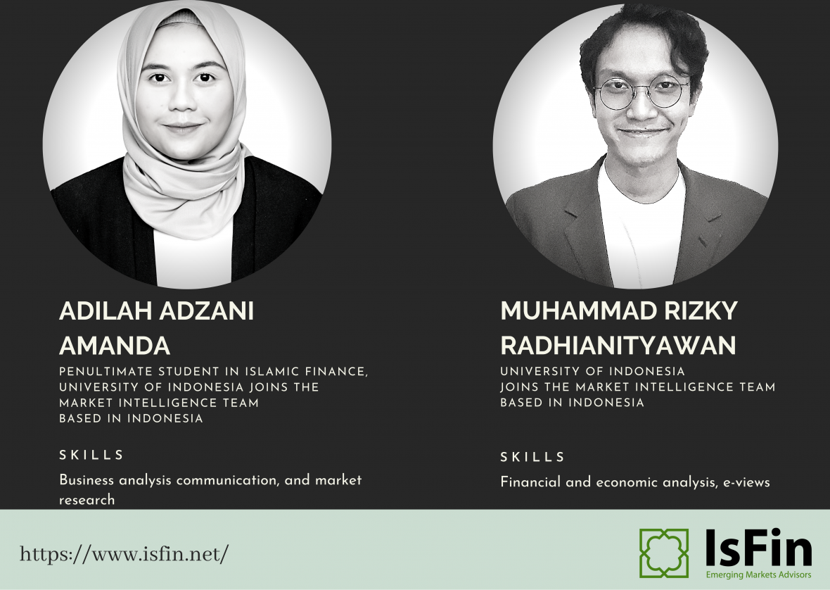 short presentation of the new consultants joining the isfin team